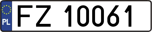FZ10061