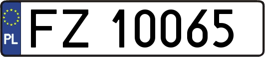 FZ10065