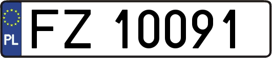 FZ10091