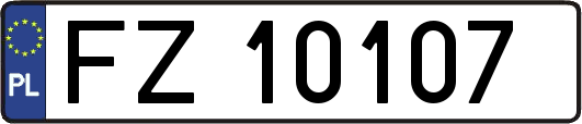 FZ10107