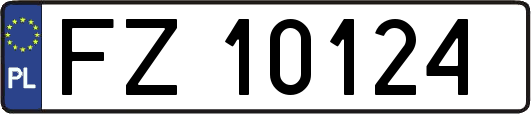 FZ10124