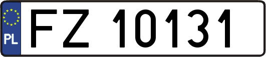 FZ10131