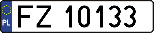 FZ10133