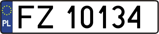 FZ10134