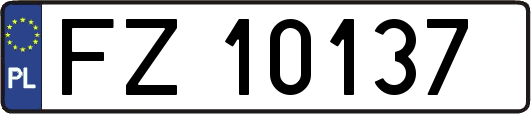 FZ10137
