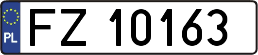 FZ10163