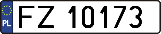 FZ10173