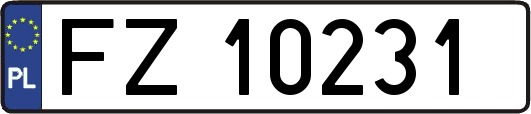 FZ10231