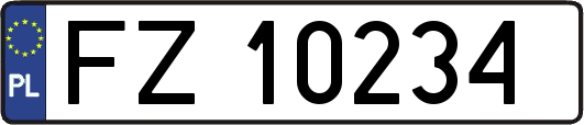 FZ10234