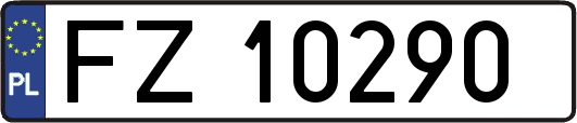FZ10290