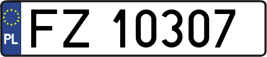 FZ10307