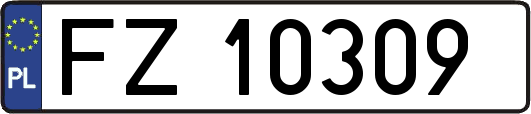 FZ10309