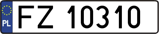 FZ10310