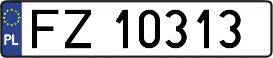 FZ10313