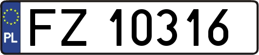 FZ10316