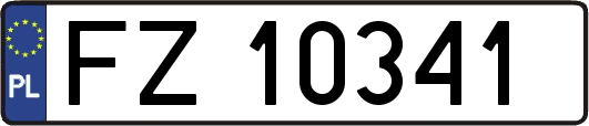 FZ10341