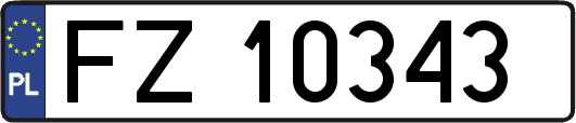 FZ10343