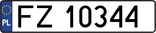 FZ10344