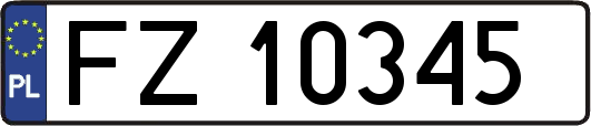 FZ10345