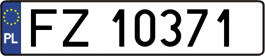 FZ10371
