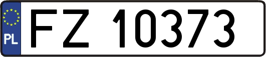 FZ10373