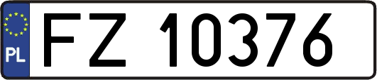FZ10376