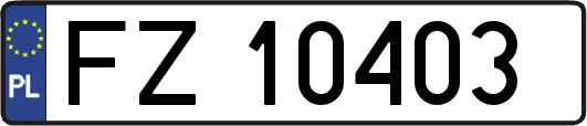 FZ10403