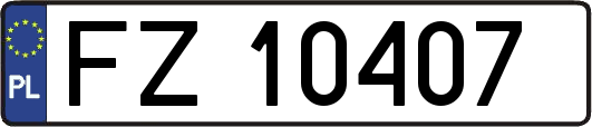 FZ10407
