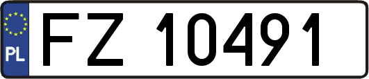 FZ10491