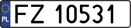 FZ10531