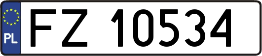 FZ10534