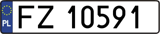 FZ10591
