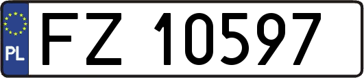 FZ10597