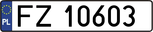 FZ10603