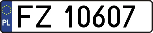 FZ10607