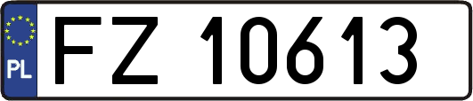 FZ10613