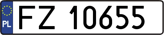 FZ10655