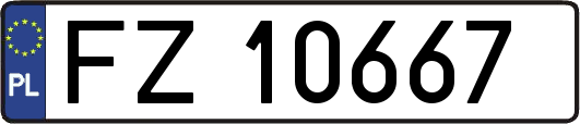 FZ10667