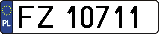 FZ10711