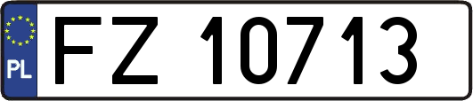 FZ10713