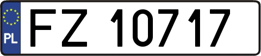 FZ10717