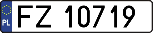 FZ10719