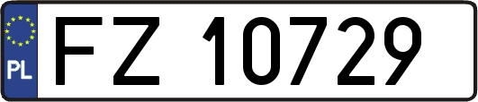 FZ10729