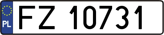 FZ10731