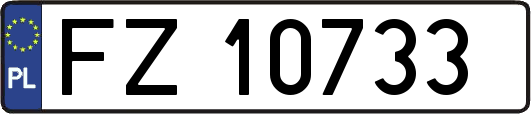 FZ10733