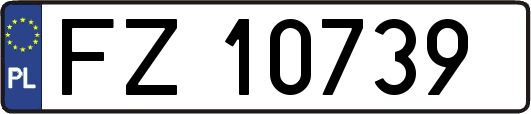FZ10739