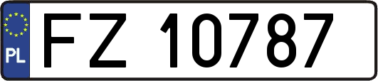 FZ10787
