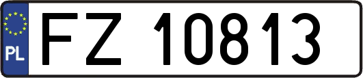 FZ10813