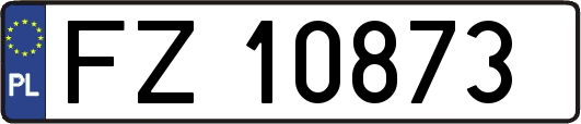 FZ10873