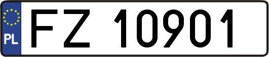 FZ10901